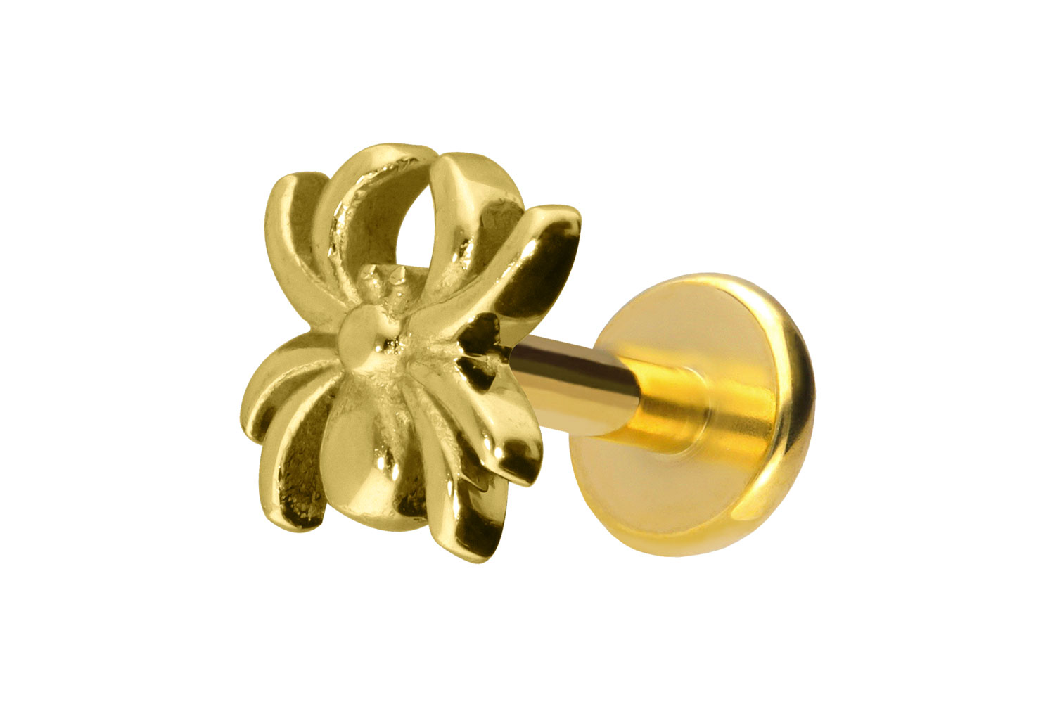 Titan Labret Piercing mit Push Fit SPINNE